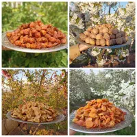 آلو بخارا ،گردو کاغذی،برگه هلو ،زردآلو،مویز