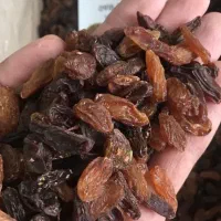 کشمش افتابی قند بالا