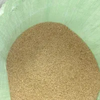 گندم تمیز