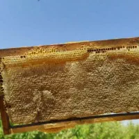 عسل طبیعی