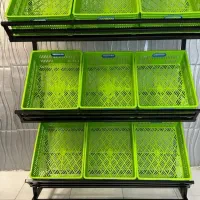 6و9سبده(استند)رنگارنگ
