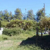 لواسان 350 مترزمین 620متر دستور نقشه