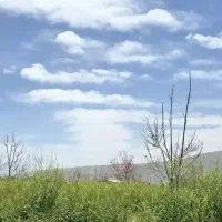 زمین-باغ-شهری-نقش-رستم