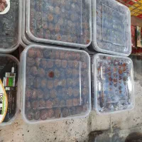 استخدام همکار آقا
