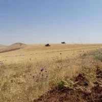 کاه کوپه