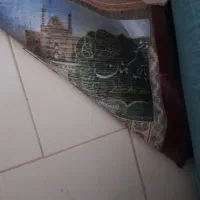فرش ۱۲ متری|فرش|لاهیجان, کوی خزر|دیوار