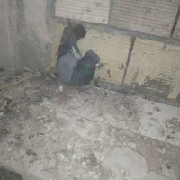 سبز المانی