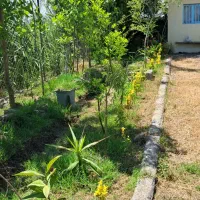 زمین245-متری