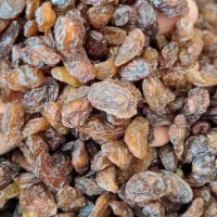 فروش انواع کشمش خوراکی و آبگیری