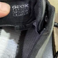 GEOX 43 اورجینال ایتالیا