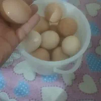 تخم مرغ محلی