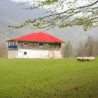 ویلایی-جنگلی-دربست-در-دل-بهشت