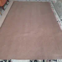 موکت|موکت|ساوه, |دیوار