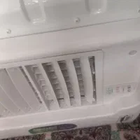 گولرآبی.نونو