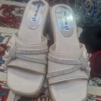 کیف وکفش وجا عینک آفتابی