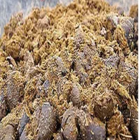کود اسب