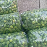 200کیلو لیمو تازه دس چین ابدار اماده