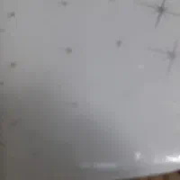 کبوتر....ذل کبوتر ۵ گونی خشک فوری