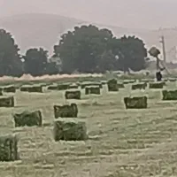 یونجه چین ۴