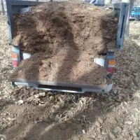 کود گوسفند
