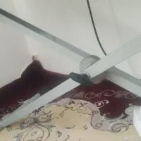 پایه ارگ
