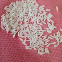 برنج طارم هاشمی درجه ۱