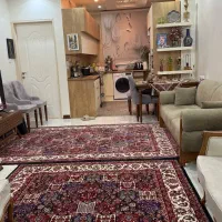 آپارتمان 60 متری تکواحدی/نبرد شمالی