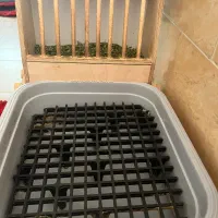 یونجه بند خرگوش