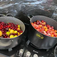 ترشک ده میوه تابستانه ارگانیک