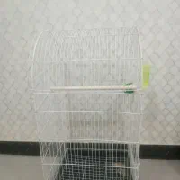 قفس بزرگ وتمیز