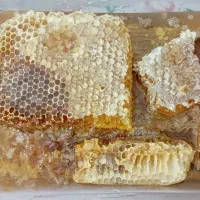 عسل طبیعی جنگلی اشکورات