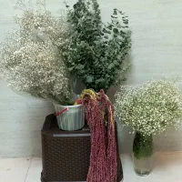 گل عروس و برگ اکالیپتوس
