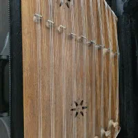 سنتور سالاری