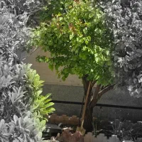 باغشهری-اهل-بیت