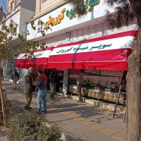 نصب و تعمیر سایبان کالسکه ای و سایه بان بازویی