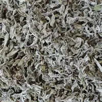 پونه سرحد