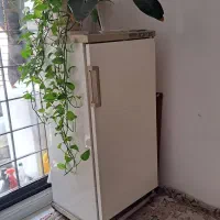 فریزر بوش اصل