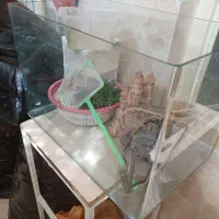 اکواریوم شیشه خم