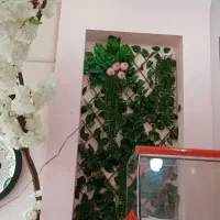 فروش کامل وسایل فست فود