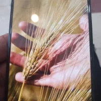 جو درجه یک پاک