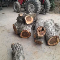 خریدار همه نوع چوب .به غیر از جنگلی