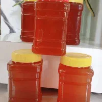 عسل