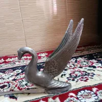 قوی جلوی کاپوت ماشین
