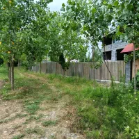 زمین 460متری باغی داخل طرح