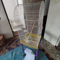قفس پرنده