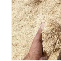 کاه گندم ماهیدشت