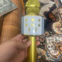 میکرفون سالم