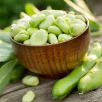 باقله عالی وکنگردرجه یک