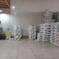 برنج ایرانی برنج هاشمی/فروش عمده و خرد
