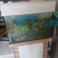 آکواریوم شیشه خم